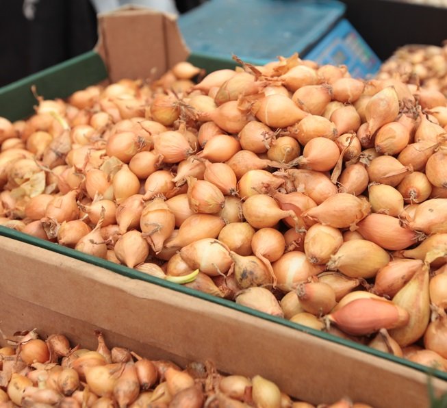 IMG_6662.MOV смотреть онлайн