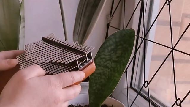 Yann Tiersen — La Dispute — Amelie OST| chromatic kalimba| хроматическая калимба смотреть онлайн