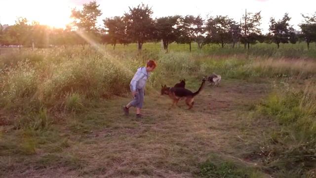 Прогулки в три носа (2) смотреть онлайн