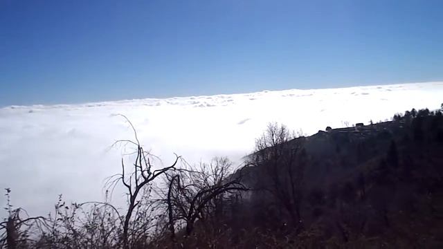 DSCN1500 смотреть онлайн