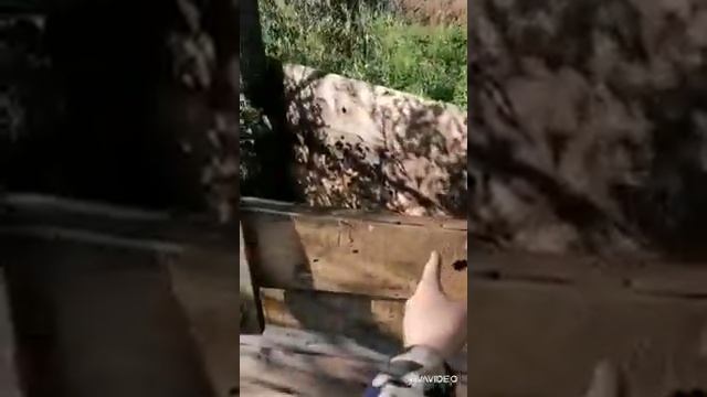 Домик сгорел?? строим новый смотреть онлайн