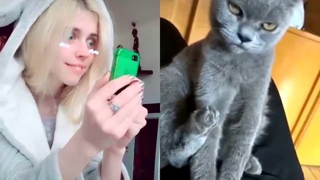 Ваши животные дают их сфоткать? смотреть онлайн