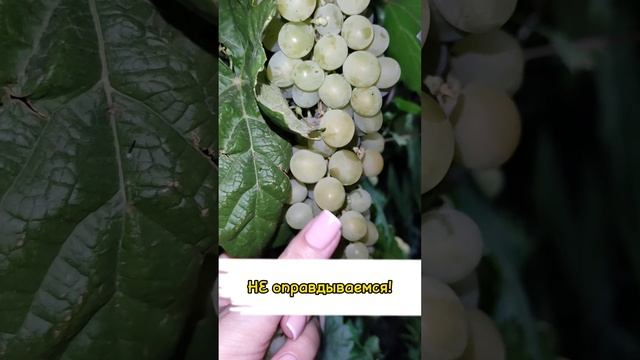 Нет ничего невозможного!
Если есть ЖЕЛАНИЕ, значит ОНО УЖЕ ЕСТЬ, в вашей жизни!