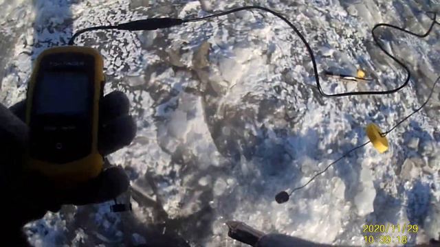 29 11 2020 2021 года День плетей смотреть онлайн