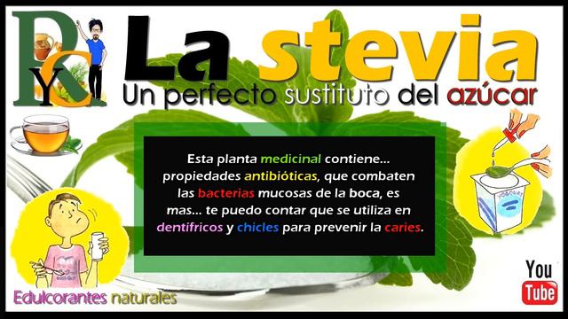 Té, O Infusión De Stevia, Estevia Un Remedio Natural Para Regular La Diabetes Y La Tensión Arterial
