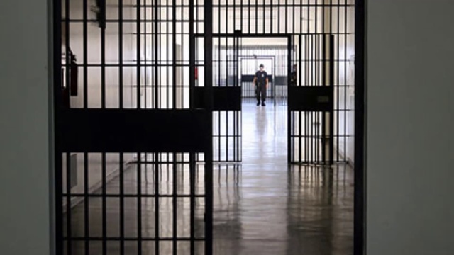 Гуси летят гуси