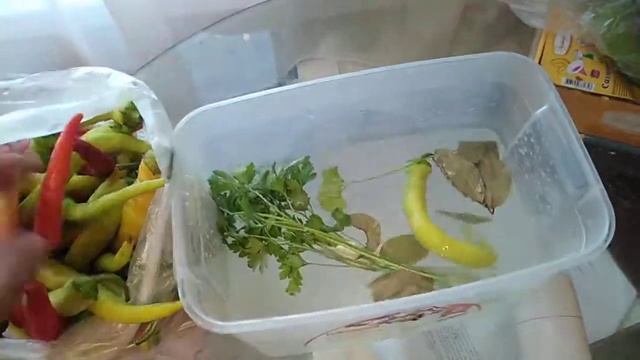 Учебник по Таланту и Творчеству