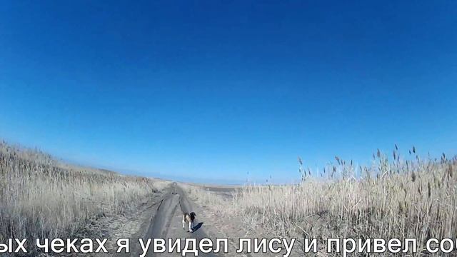 охота на лис смотреть онлайн