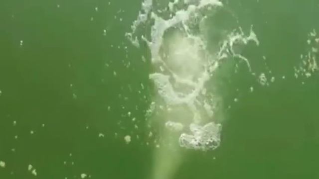 Аэратор Hailea BF-370 в зимний, осенний, летний периоды