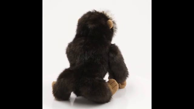 4054160 Bongo Gorilla смотреть онлайн