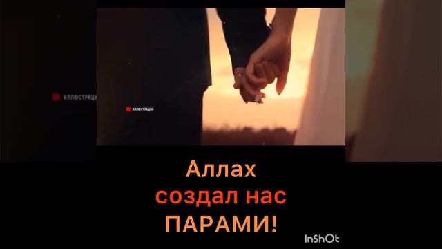 Аллах создал нас парами смотреть онлайн