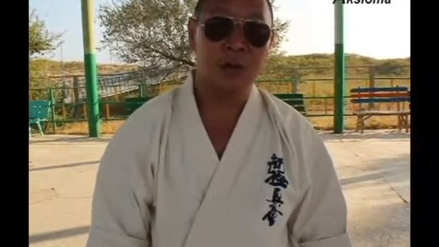 Александр Ким WKO Каратэ Анапа смотреть онлайн