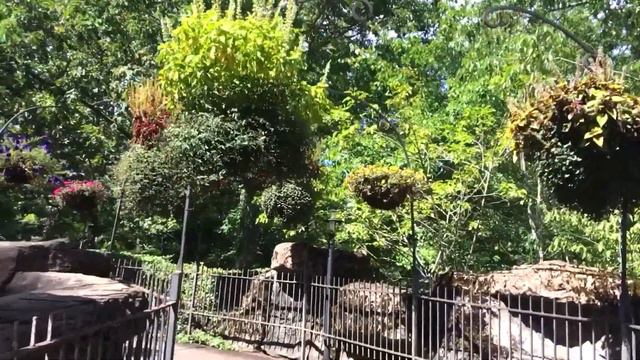 SILVER DOLLAR- Парк где остановилось время _ развлекательный поезд - смотреть онлайн