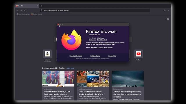 Mozilla FireFox 91 Review in 2021 | Latest Update for Cookie Clearing! смотреть онлайн