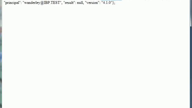 Simulando Registro Duplicado no IDM com JSON RPC via FreeIPA смотреть онлайн