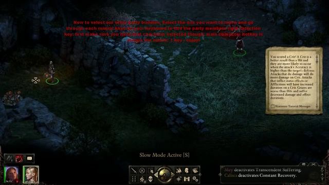 Pillars Of Eternity - Trainer Option Preview/Guide - LinGon смотреть онлайн