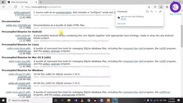 Downloading and Installing SQL Lite Data Base смотреть онлайн