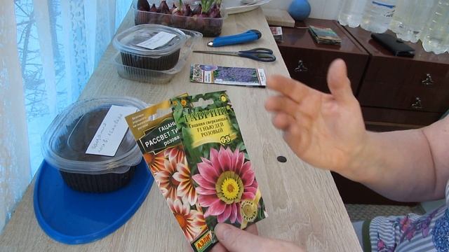 Обзор покупок, посев гелиотропа и гацании. смотреть онлайн