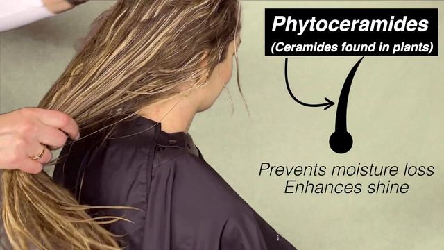 How To Repair & Strengthen Your Hair With The NEW ORIBE HAIR ALCHEMY COLLECTION- Grow Long Hair! смотреть онлайн