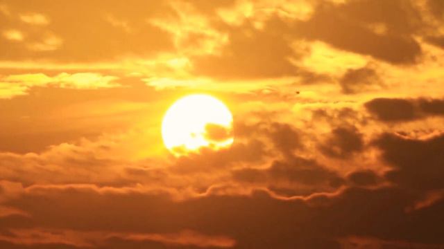 Прекрасная природа нашей планеты. смотреть онлайн