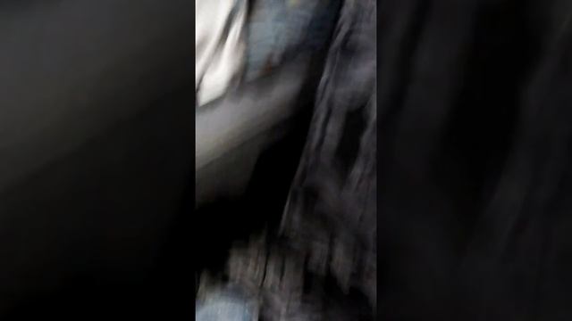 "как рисовать мышку" ответы на вопросы смотреть онлайн