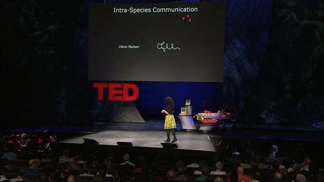 How bacteria "talk" - Bonnie Bassler смотреть онлайн