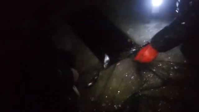 Лов сельди в Поньгоме. Белое море смотреть онлайн