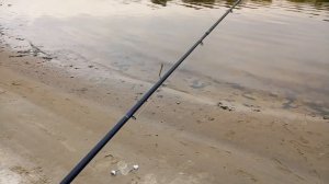 Сигнализатор поклёвки своими руками. Самосбрасывающийся для фидера.