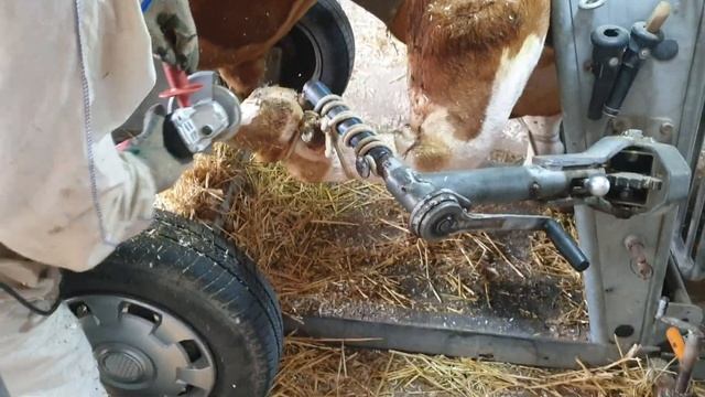 Бычий маникюр. Сербия. смотреть онлайн