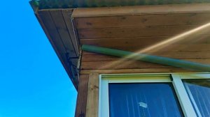 Шершни на даче. Часть вторая. Как быстро избавиться от шершней и ос.