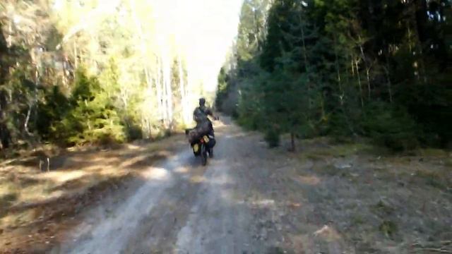 Курлипы. Часть 1 смотреть онлайн