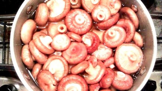 Сборник рецептов