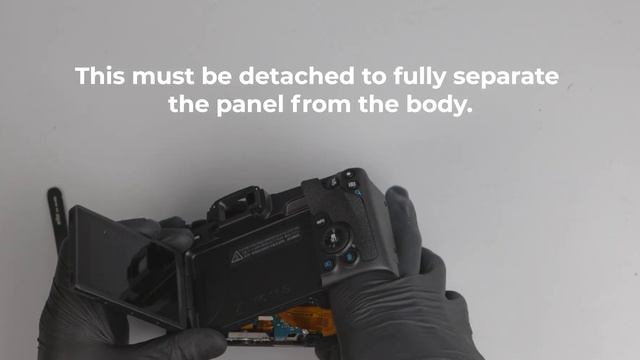 Canon EOS R8 Unboxing + Teardown смотреть онлайн