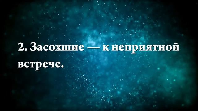 К чему снятся капли крови - Онлайн Сонник Эксперт смотреть онлайн