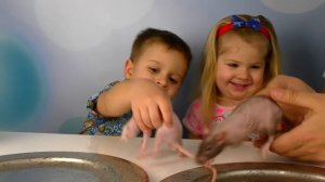 Обычная Еда ПРОТИВ Мармелада Челлендж! Папа ПЛАЧЕТ 2! Real Food vs Gummy Food Candy Challenge