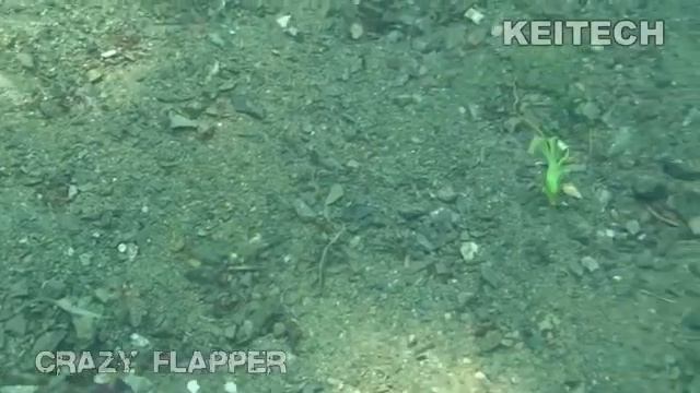 убойная приманка для спининга смотреть онлайн