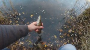 Ловля щуки, окуня на озере. Рыбалка на спиннинг с берега