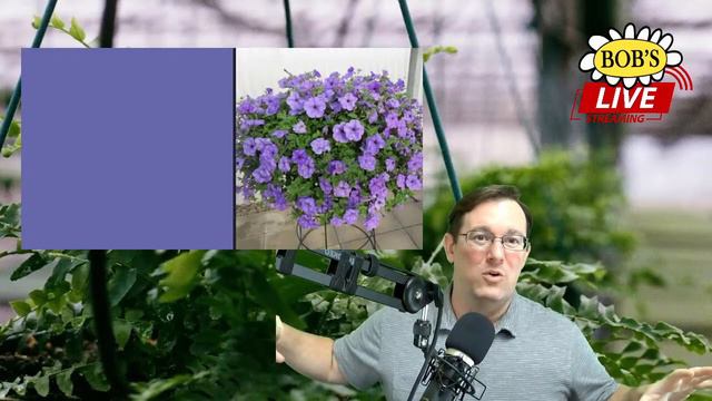 090 Bob's LIVE: Making the Cut смотреть онлайн