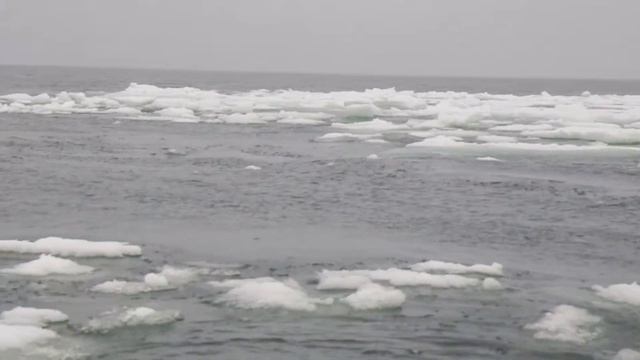 29-07-2010 у мыса Челюскин смотреть онлайн