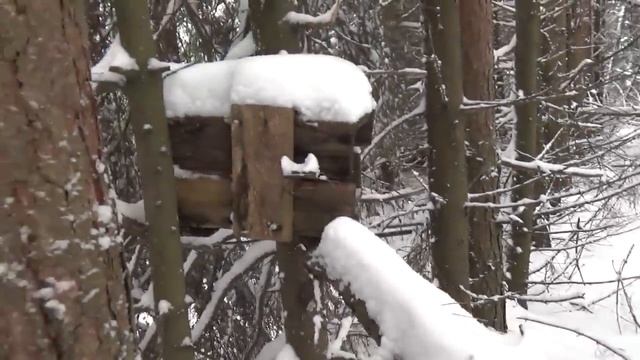 Проверка капканов.