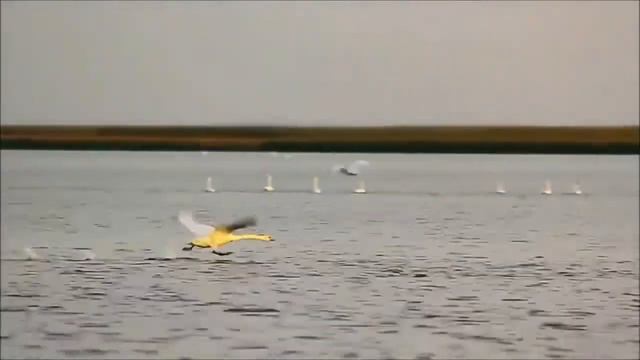 "МОЖЕТ Я--МОЖЕТ ТЫ" (русская версия) смотреть онлайн