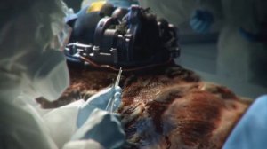 Resident Evil 3 Remake - Umbrella Pharma Corporation Opening Ad