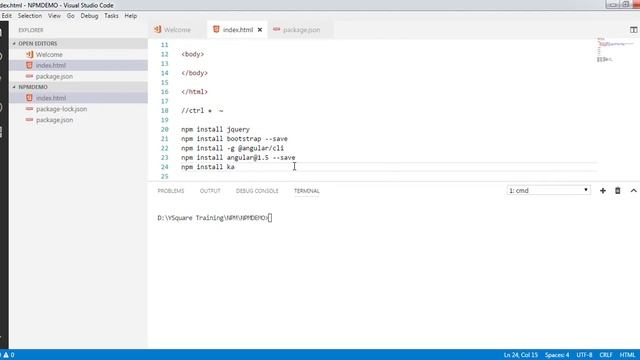 What is NPM and package installation command npm install - -save -dev and -g смотреть онлайн