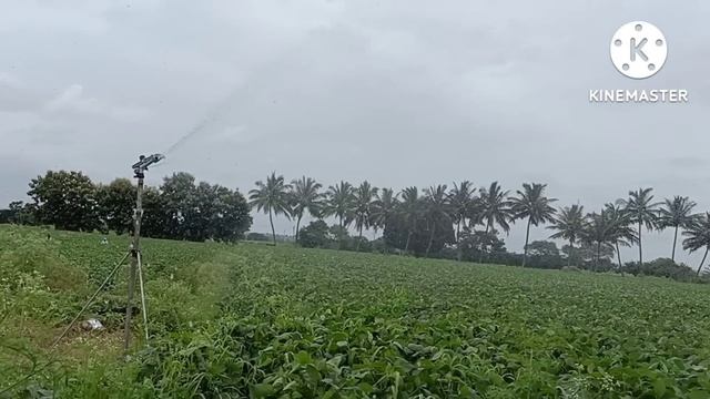 ಕೃತಕಮಳೆ Rain Gun Rain Gun Irrigation system Hasiru Namma Usiru #rain #raingun #indianfarmer смотреть онлайн