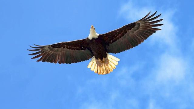 Как будто лечу я. Хиллсонг Украина #прославление смотреть онлайн