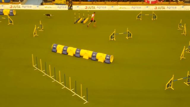 TRYGG Alar Kivilo Large Jumping AWC 2018 смотреть онлайн
