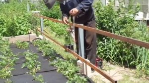 Невысокий забор для садоогорода своими руками.