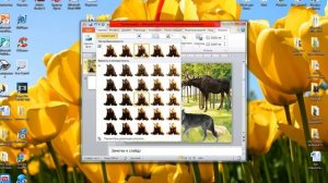 Создание игры «Чья тень» в Power Point