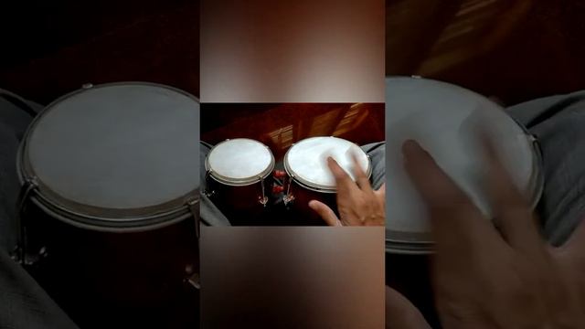 Single handed Bongos Rhythm (Fingers only ) #bongos #rhythm #bass #singlehanded #lifewithmusic смотреть онлайн