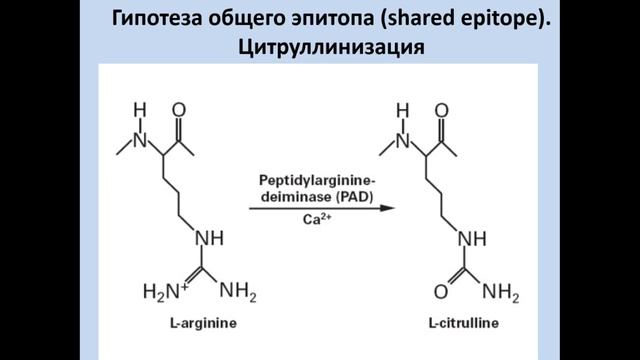 1 - Определение.avi смотреть онлайн